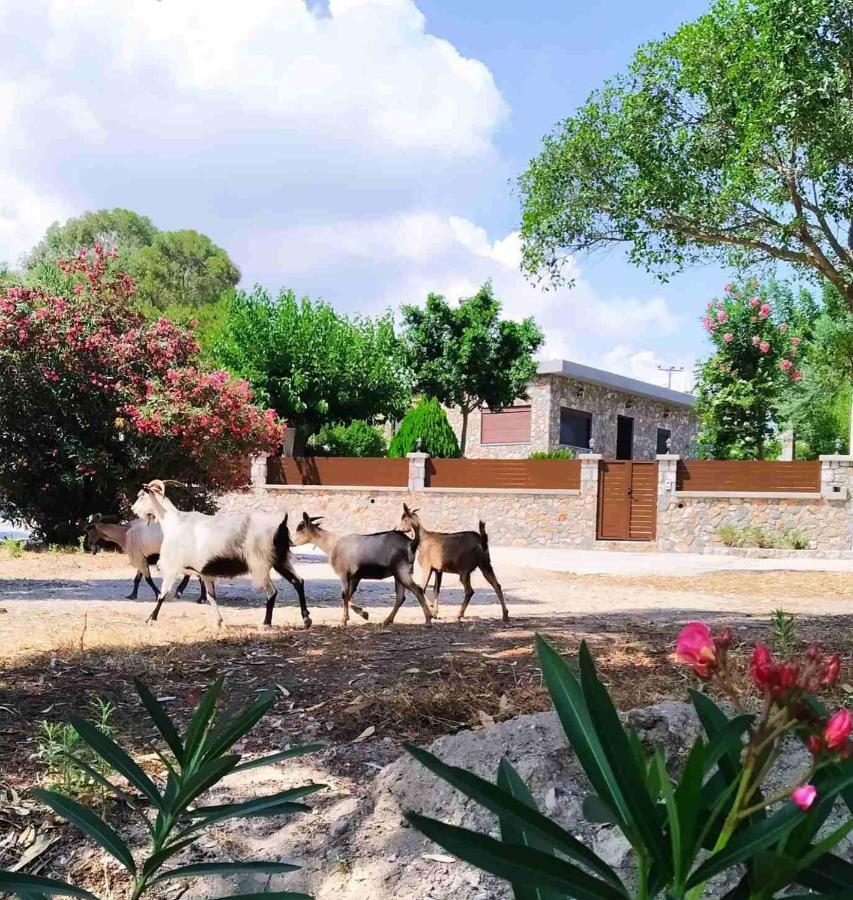 Aithonas Villa 아크앤젤로스 외부 사진