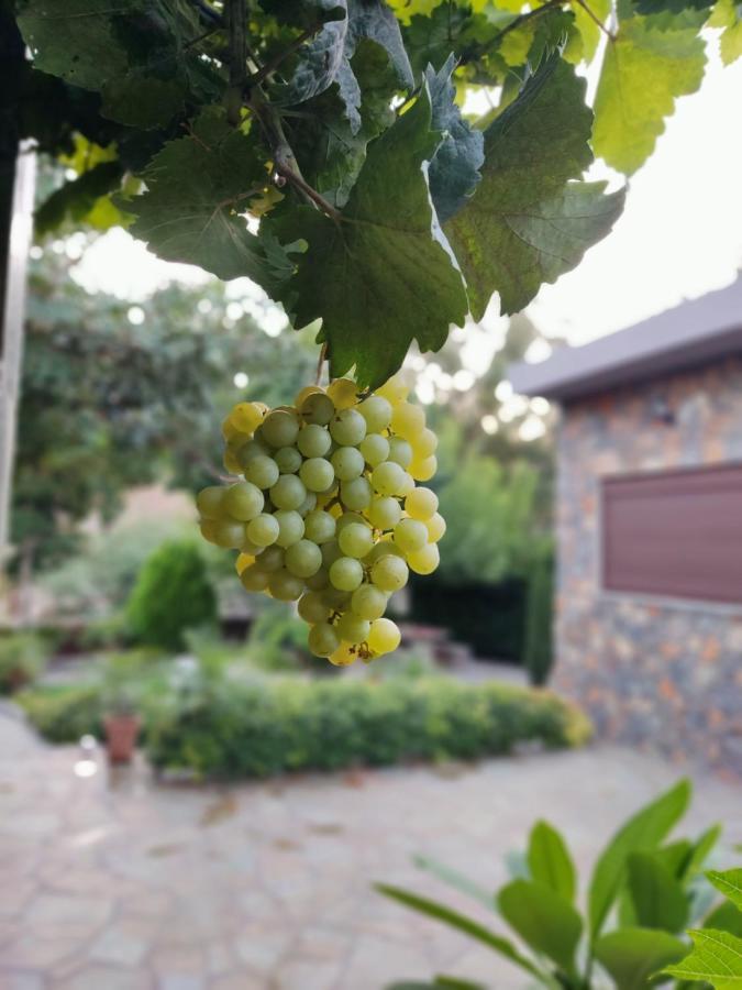 Aithonas Villa 아크앤젤로스 외부 사진