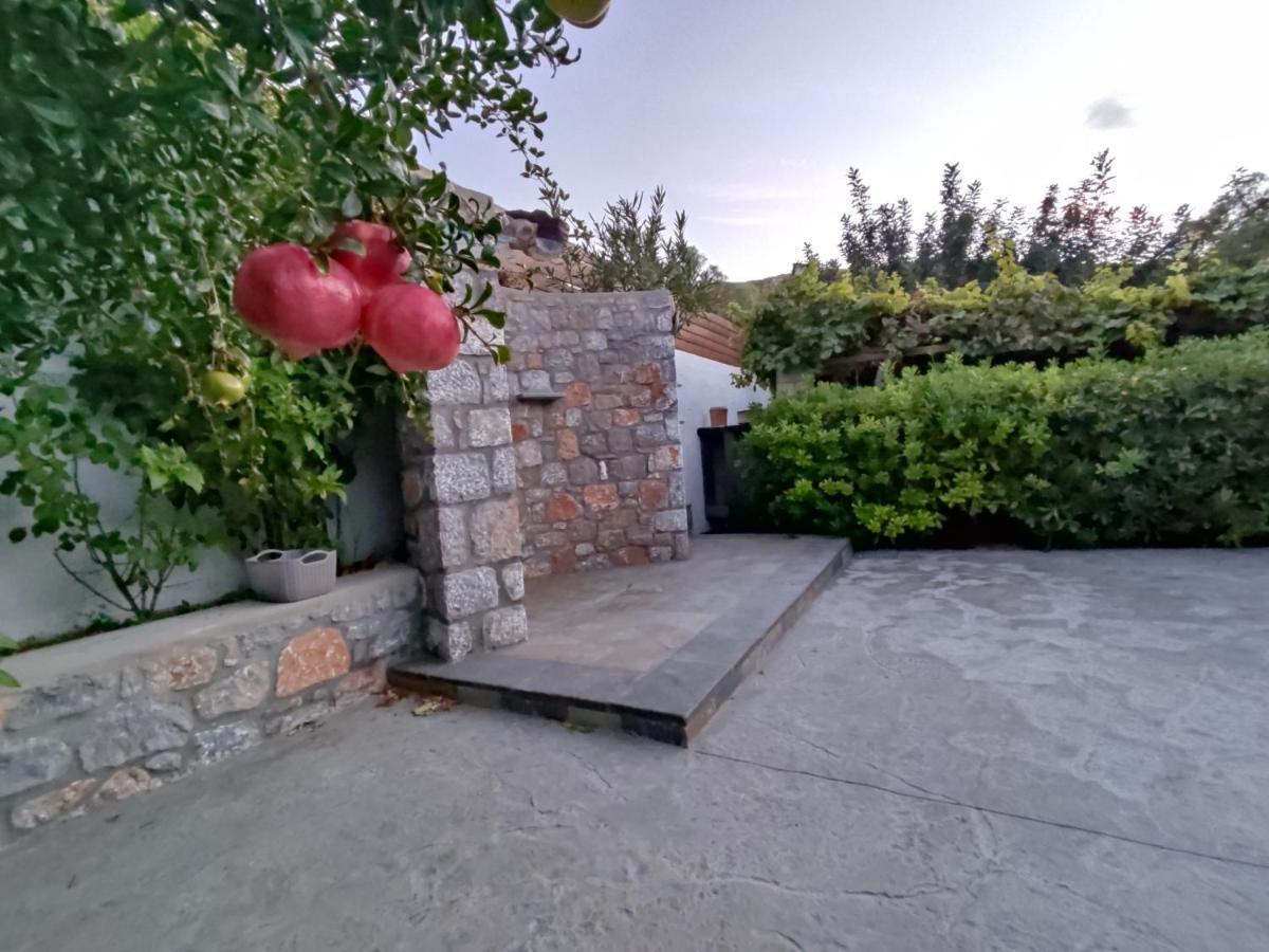 Aithonas Villa 아크앤젤로스 외부 사진