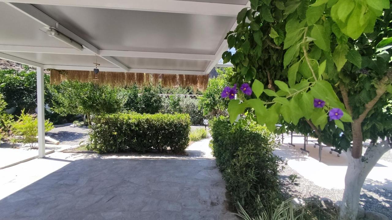 Aithonas Villa 아크앤젤로스 외부 사진