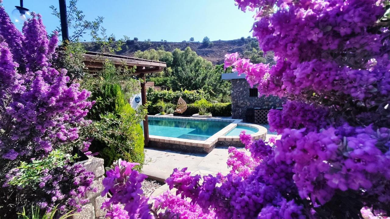 Aithonas Villa 아크앤젤로스 외부 사진