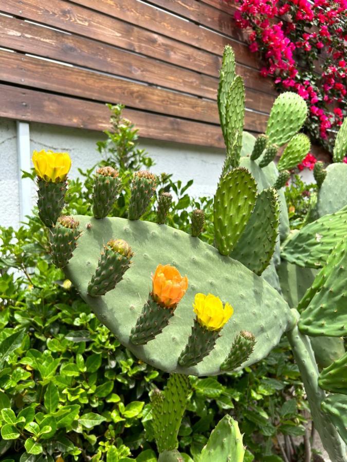 Aithonas Villa 아크앤젤로스 외부 사진