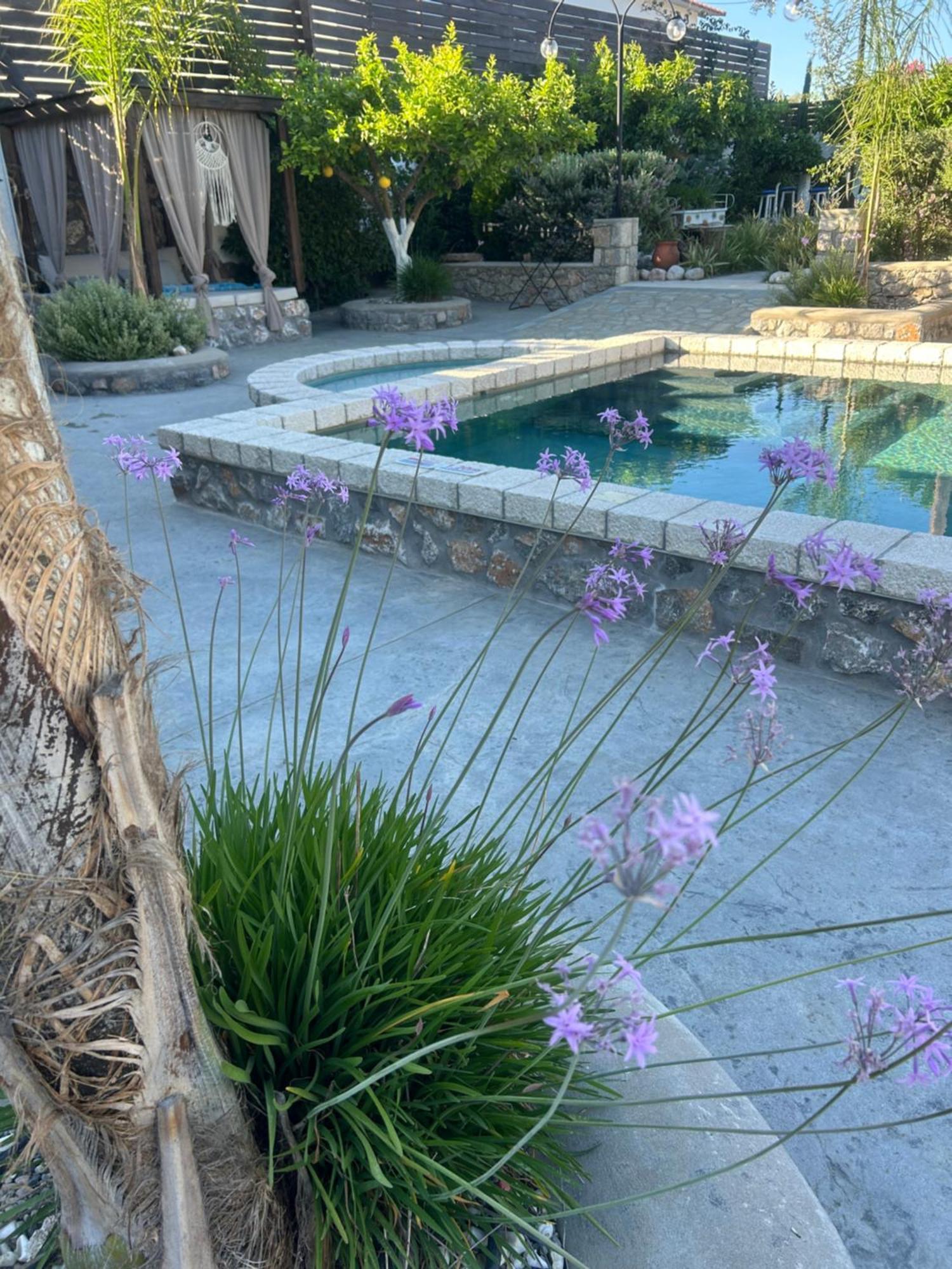Aithonas Villa 아크앤젤로스 외부 사진