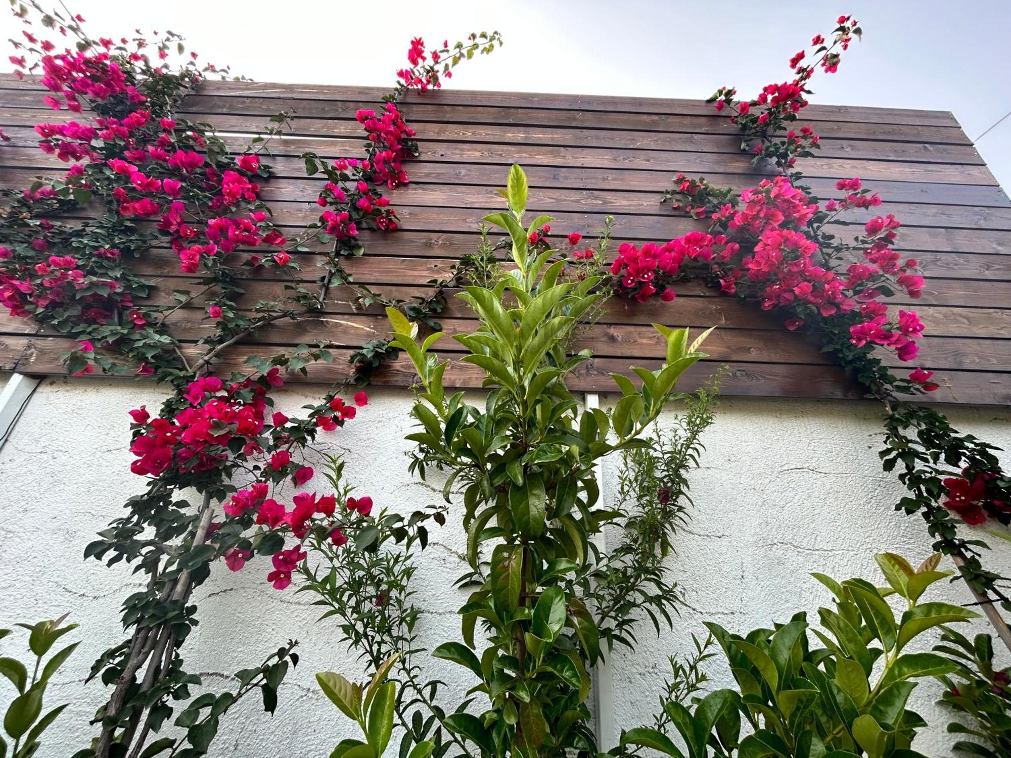 Aithonas Villa 아크앤젤로스 객실 사진