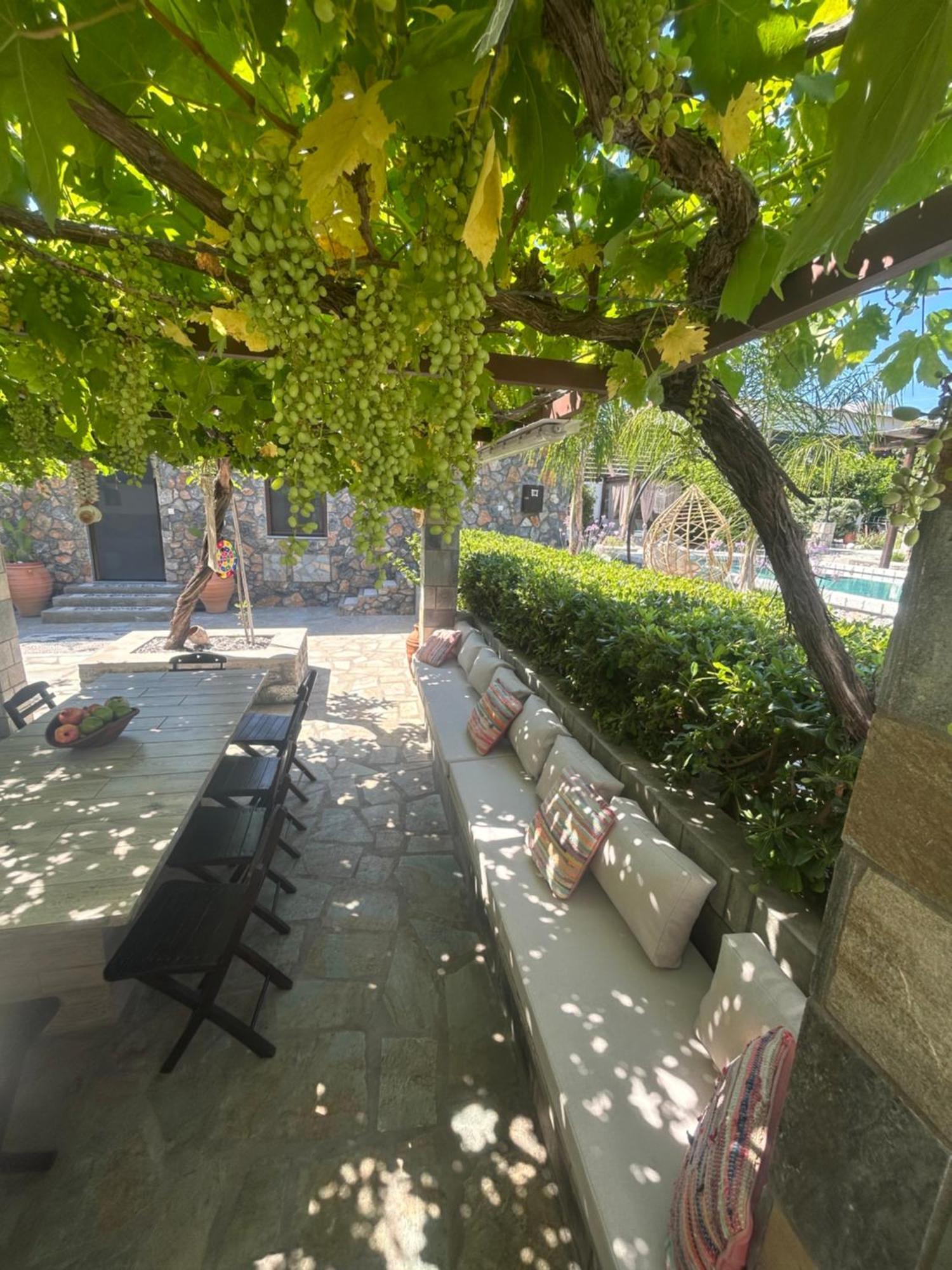 Aithonas Villa 아크앤젤로스 외부 사진