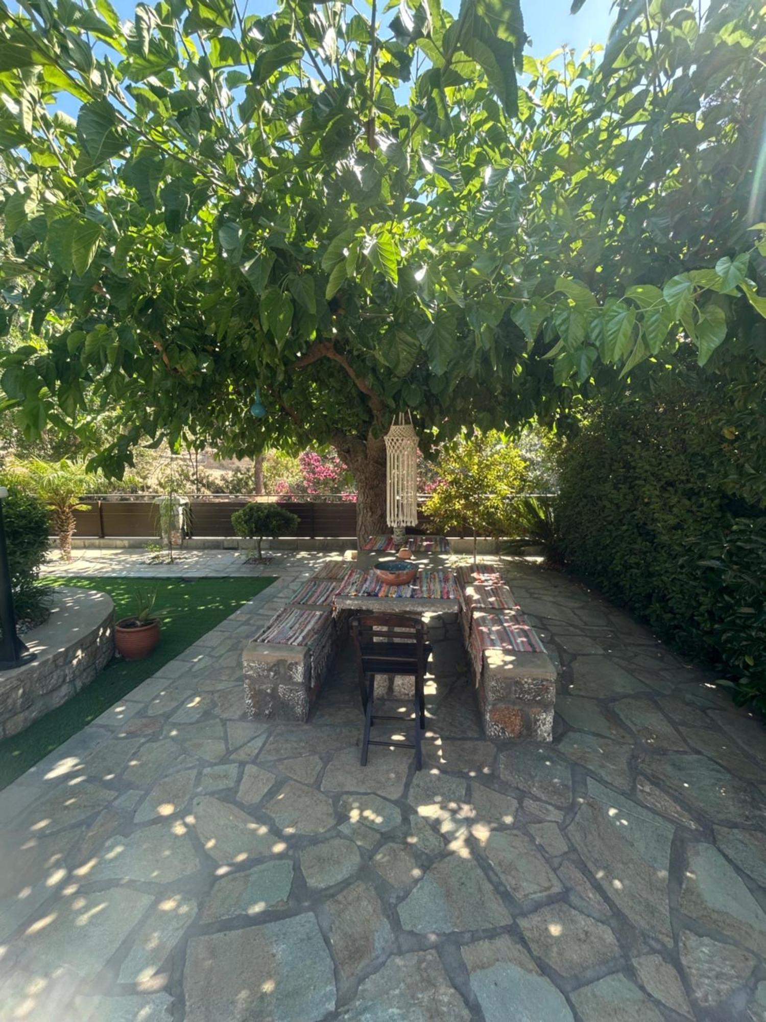Aithonas Villa 아크앤젤로스 외부 사진