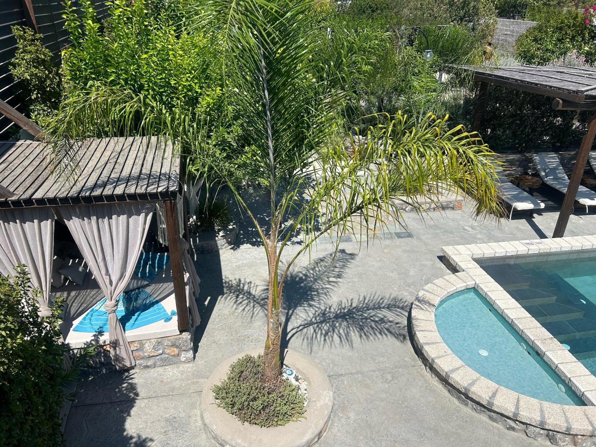 Aithonas Villa 아크앤젤로스 외부 사진