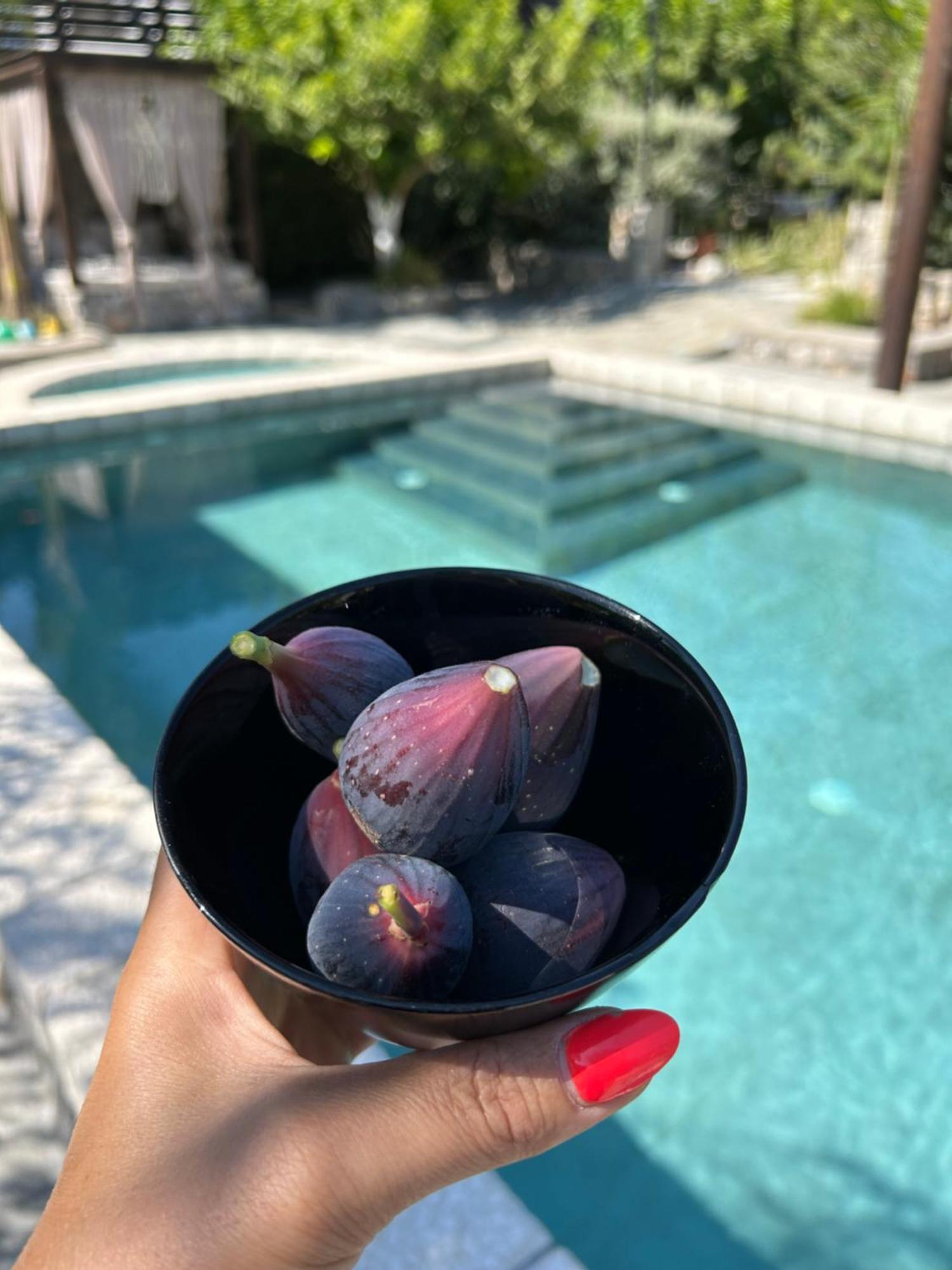 Aithonas Villa 아크앤젤로스 외부 사진